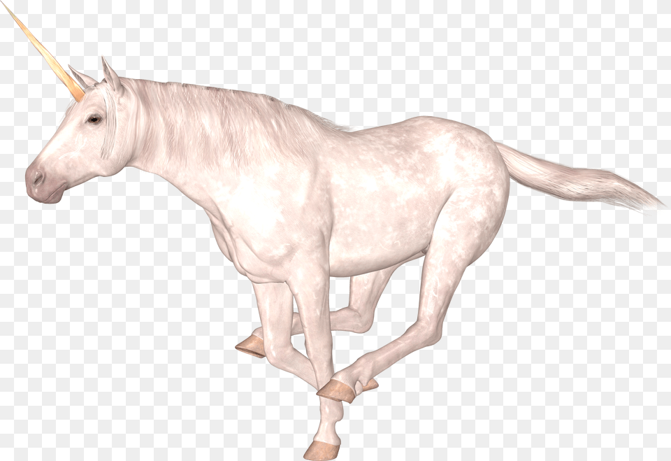 Unicorn, Animal, Mammal, Horse, Art Png Image