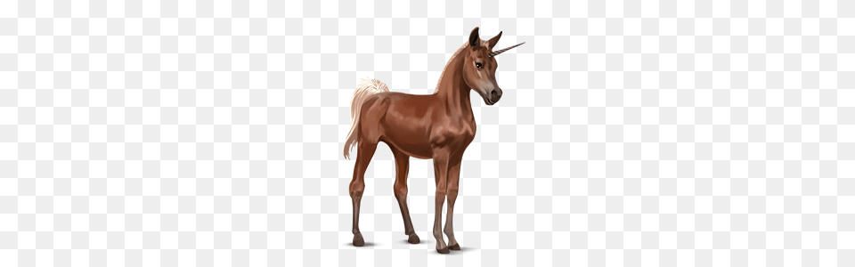 Unicorn, Animal, Colt Horse, Horse, Mammal Png