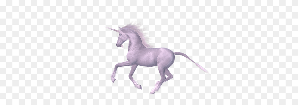 Unicorn Animal, Horse, Mammal, Colt Horse Free Png