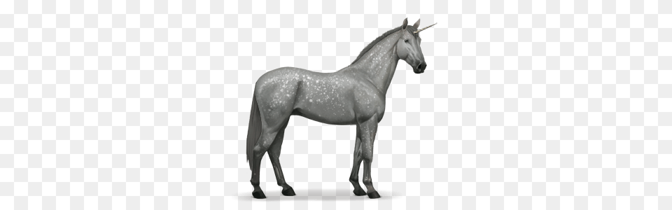 Unicorn, Andalusian Horse, Animal, Horse, Mammal Png Image