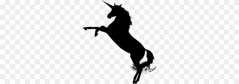 Unicorn Gray Free Png