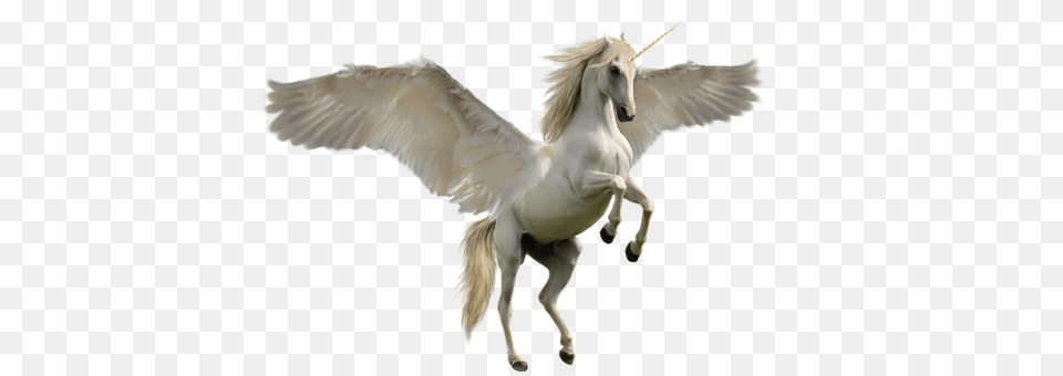 Unicorn Animal, Bird, Mammal, Horse Png