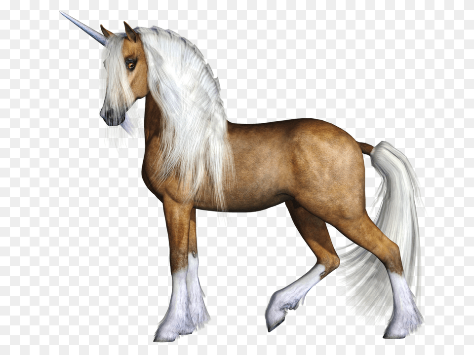 Unicorn, Animal, Horse, Mammal, Stallion Free Transparent Png