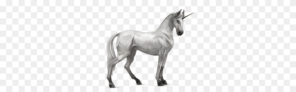 Unicorn, Andalusian Horse, Animal, Horse, Mammal Free Transparent Png