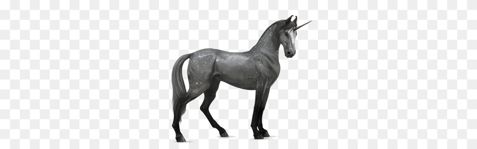 Unicorn, Andalusian Horse, Animal, Horse, Mammal Png