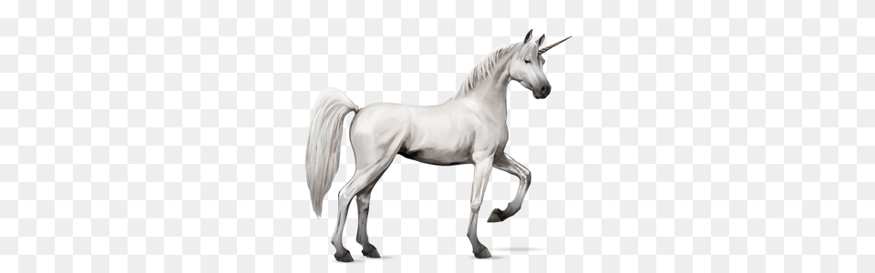 Unicorn, Andalusian Horse, Animal, Horse, Mammal Free Png