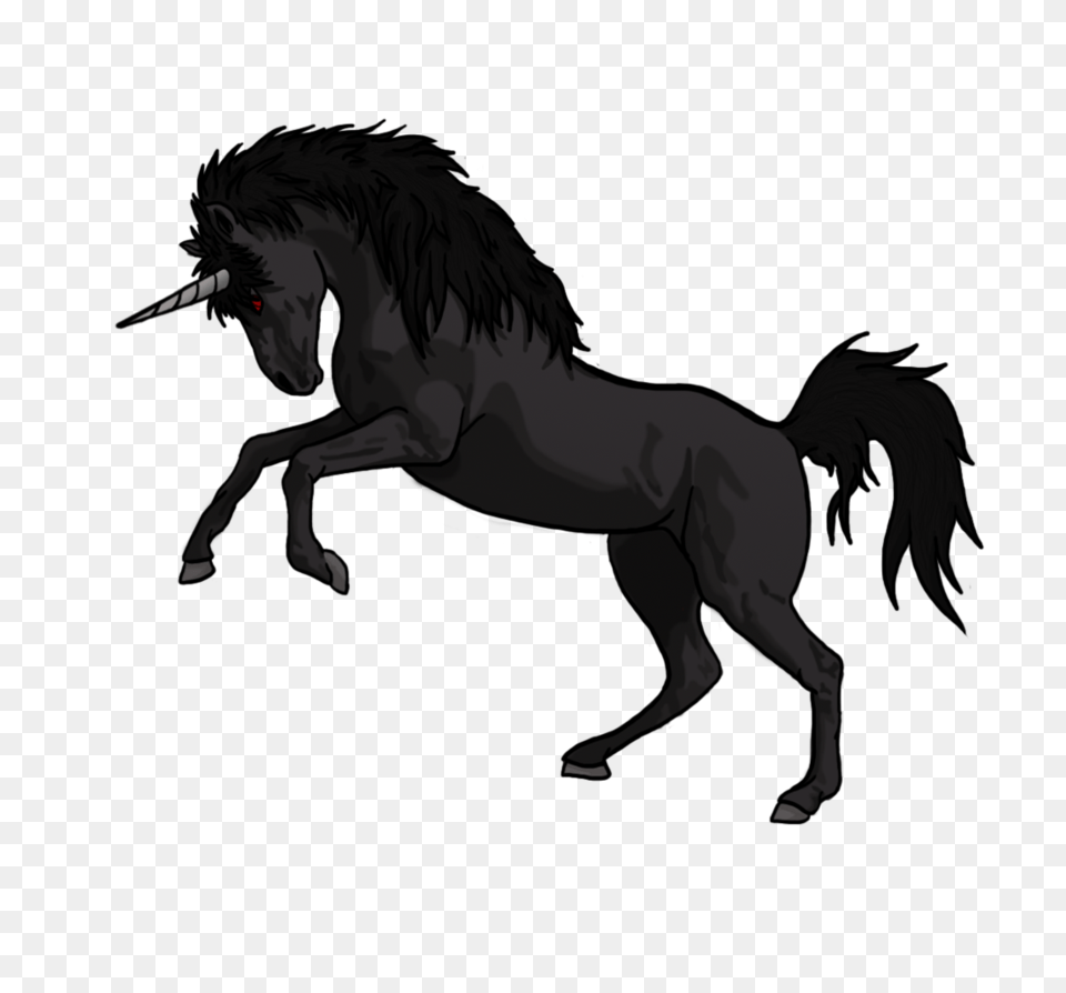 Unicorn, Animal, Horse, Mammal Free Transparent Png
