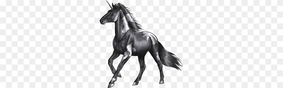 Unicorn, Andalusian Horse, Animal, Horse, Mammal Free Transparent Png