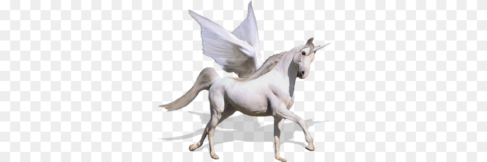 Unicorn, Andalusian Horse, Animal, Horse, Mammal Free Png Download