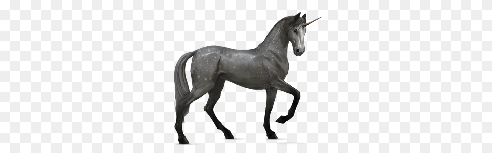Unicorn, Andalusian Horse, Animal, Horse, Mammal Png