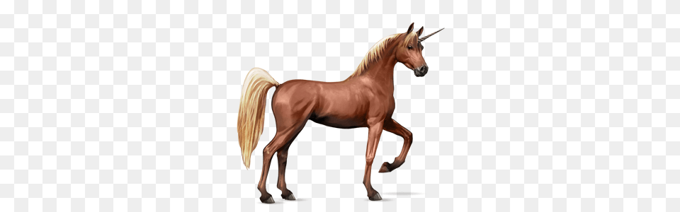 Unicorn, Animal, Colt Horse, Horse, Mammal Free Png