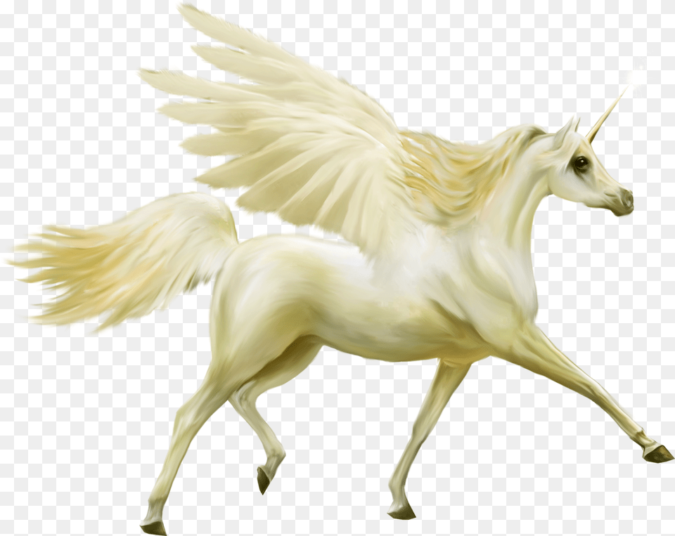 Unicorn, Animal, Bird, Mammal Free Png Download