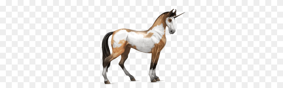 Unicorn, Animal, Horse, Mammal, Colt Horse Free Png