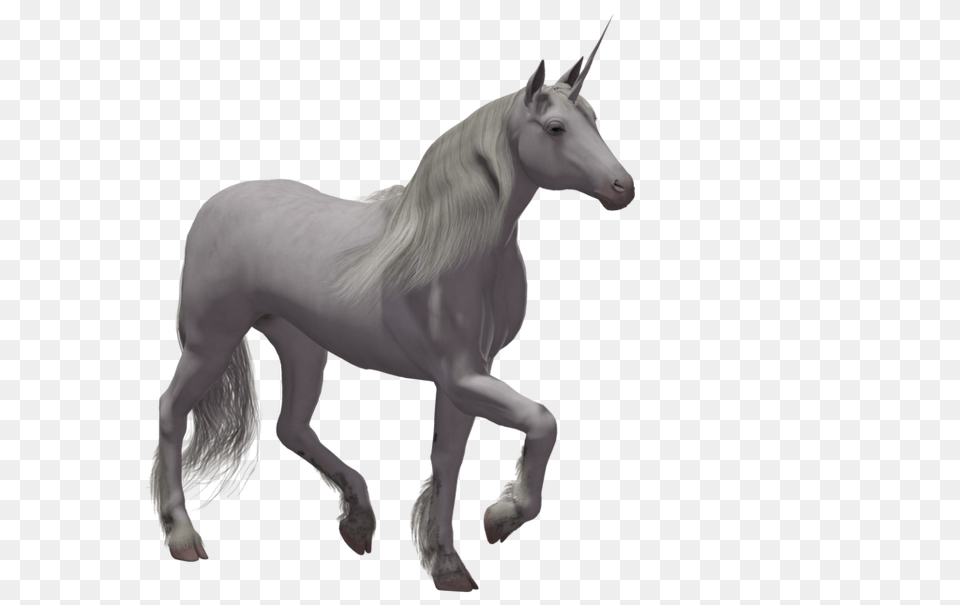Unicorn, Andalusian Horse, Animal, Horse, Mammal Png Image