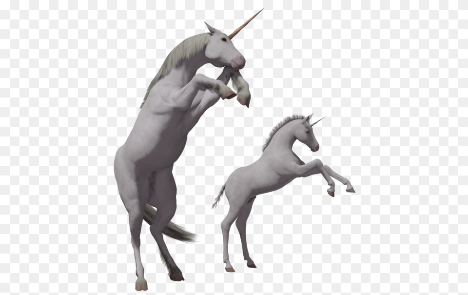 Unicorn, Animal, Antelope, Mammal, Wildlife Free Png Download