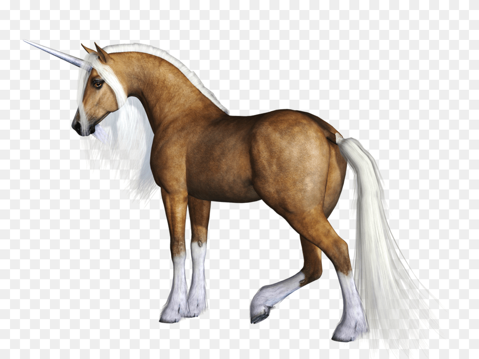 Unicorn, Animal, Horse, Mammal, Colt Horse Png Image