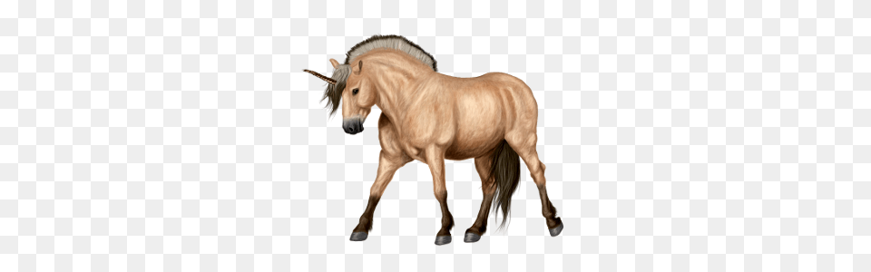 Unicorn, Animal, Colt Horse, Horse, Mammal Free Transparent Png