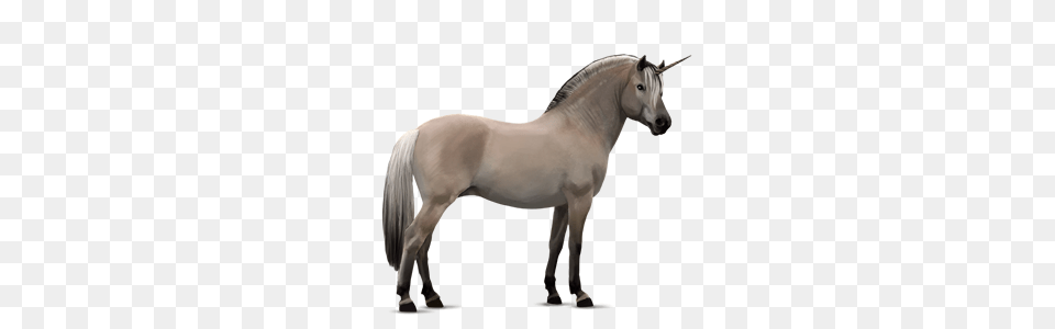 Unicorn, Animal, Horse, Mammal, Andalusian Horse Png