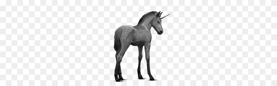 Unicorn, Andalusian Horse, Animal, Horse, Mammal Png