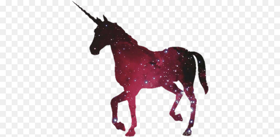 Unicorn And Wallpaper Galaxy Unicorn Hoodie Pullover, Animal, Mammal, Horse Png Image