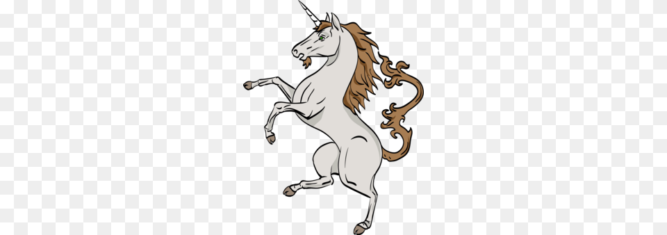 Unicorn Clipart, Adult, Person, Female, Woman Png