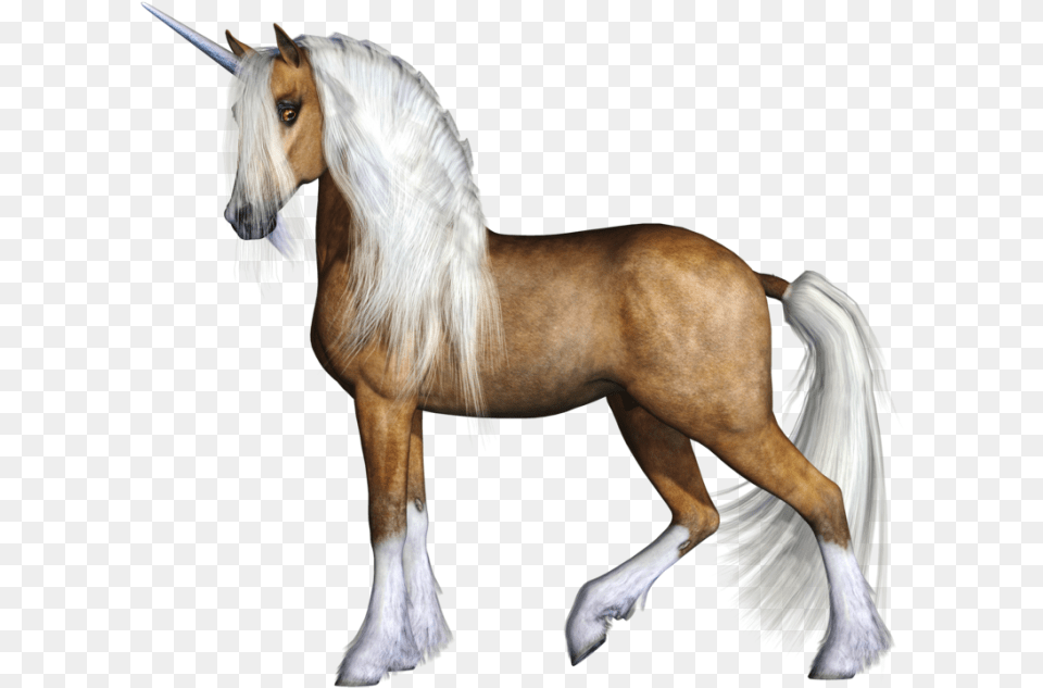 Unicorn Clipart Realistic Unicorn Images Transparent Background, Animal, Horse, Mammal, Colt Horse Png