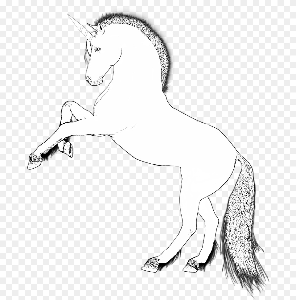 Unicorn Design Horse Fairytale Image Unicorn White, Silhouette, Art, Drawing, Animal Free Png Download
