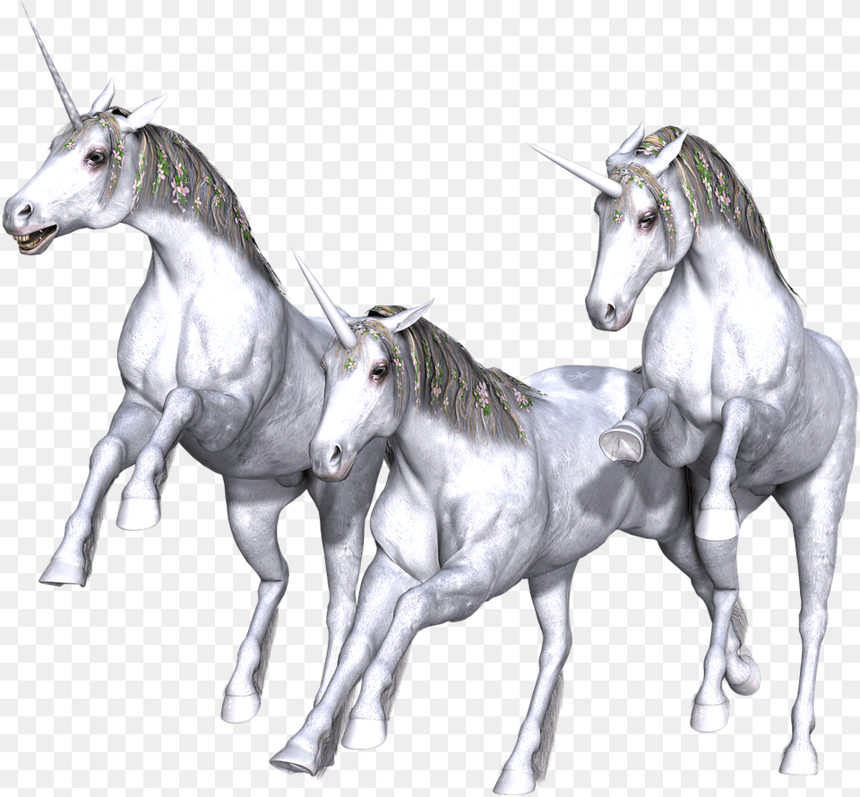Unicorn Fantasy Fairy Tale White Mythology Horned Transparent Background Fantasy, Animal, Horse, Mammal, Andalusian Horse Free Png Download