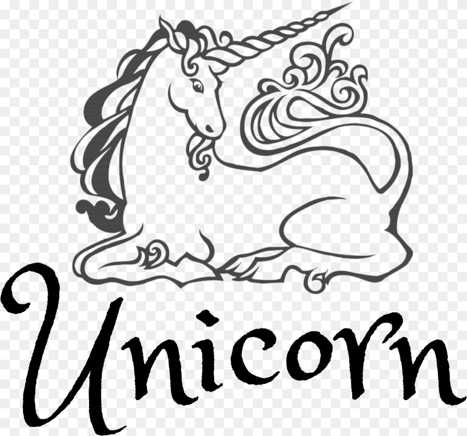 Unicorn Fibre Unicorn Decorations From Amazon, Stencil, Text Png
