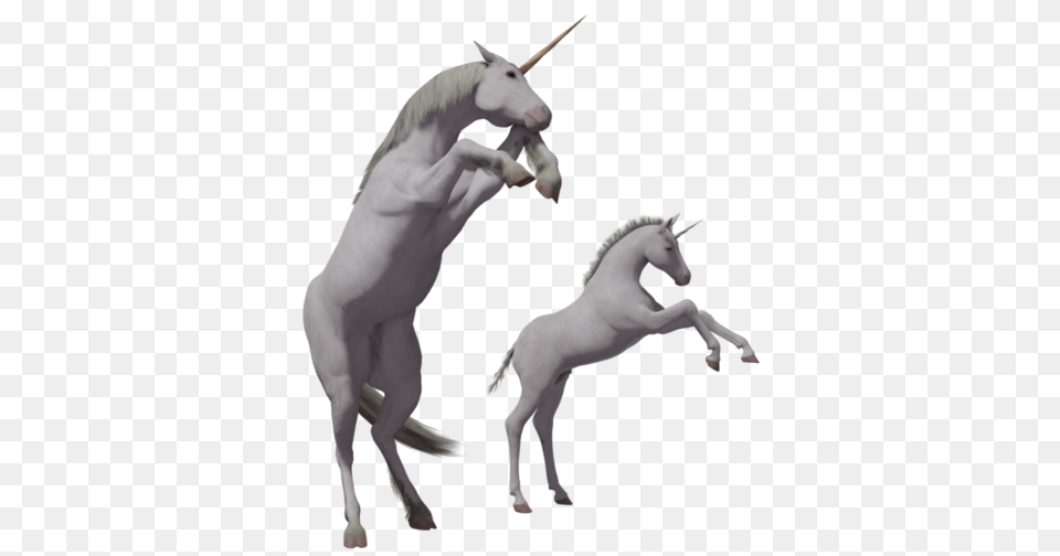 Unicorn Foals Transparent Background Portable Network Graphics, Animal, Antelope, Mammal, Wildlife Png Image