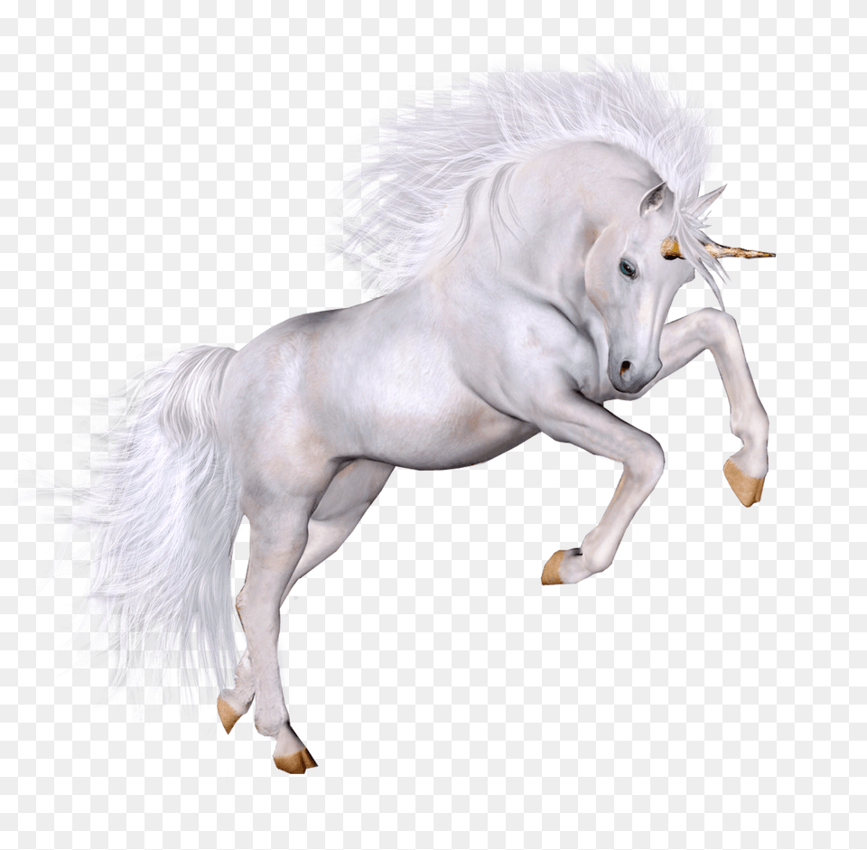 Unicorn Grace, Animal, Horse, Mammal, Stallion Png