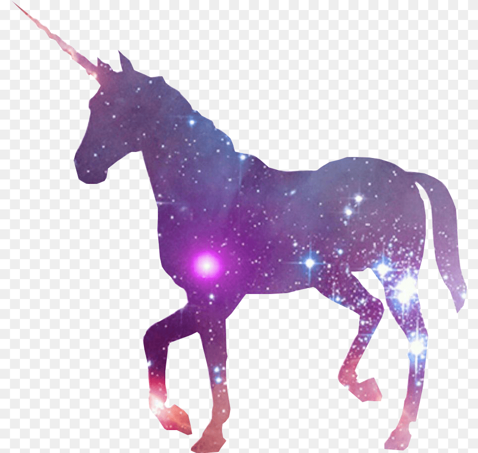 Unicorn Horn Fairy Tale Galaxy Unicorn, Animal, Mammal, Horse Png Image