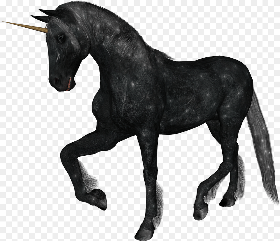Unicorn Horn Unicorn Realistic, Animal, Horse, Mammal, Stallion Free Png