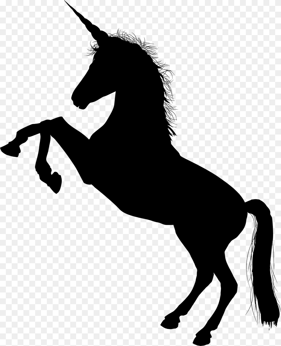 Unicorn Horse Clipart Explore Pictures, Gray Free Png Download