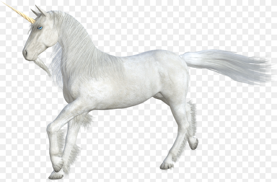 Unicorn Horse Mythical Creatures Horn Fairy Tales, Animal, Mammal, Stallion Free Transparent Png