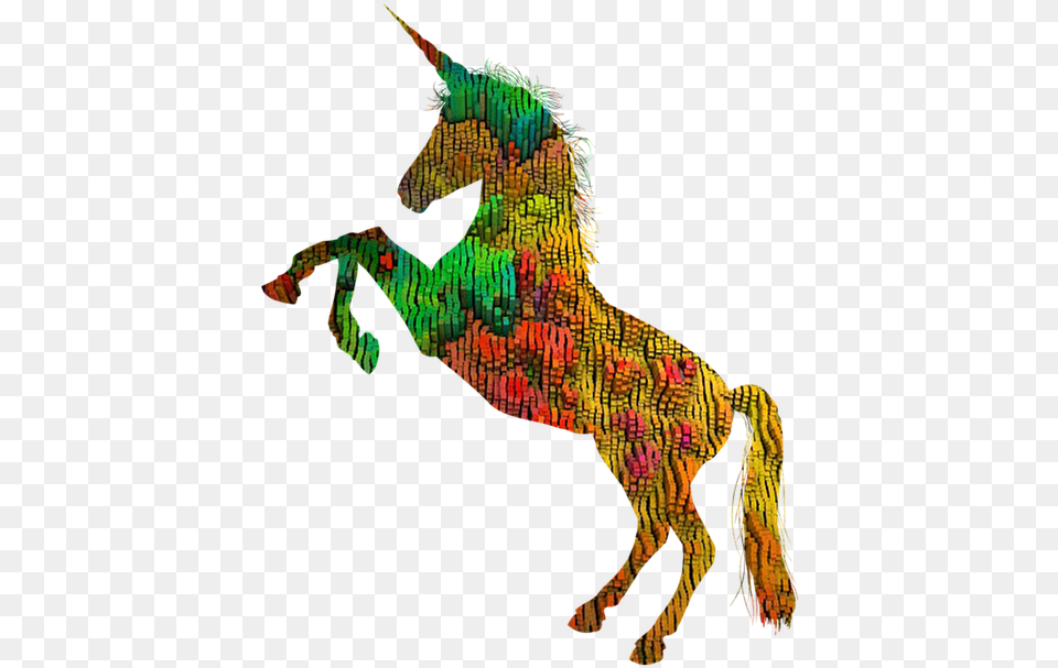 Unicorn Horse Rider Photo Horse Black And White Outline, Art, Person Png
