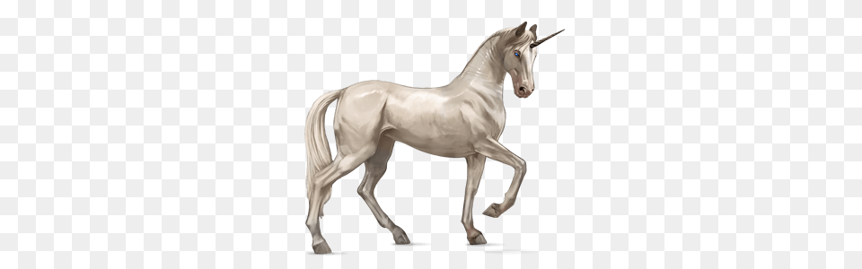 Unicorn Illustration, Animal, Horse, Mammal, Stallion Free Png Download