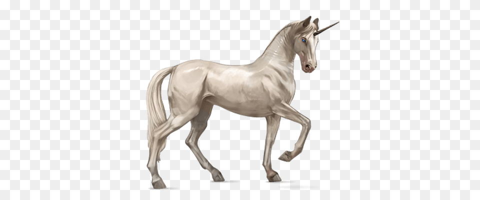 Unicorn Illustration Transparent, Animal, Horse, Mammal, Stallion Free Png