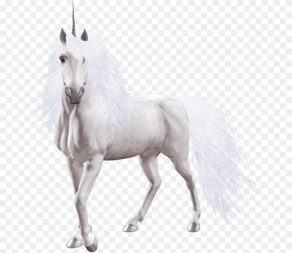 Unicorn Animal, Horse, Mammal, Stallion Png Image
