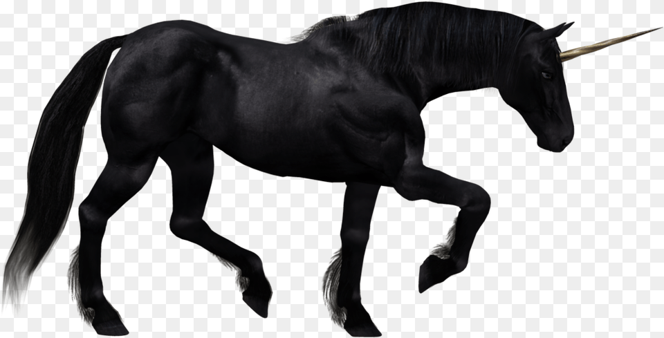 Unicorn Black Unicorn White Background, Animal, Mammal, Horse, Stallion Png Image