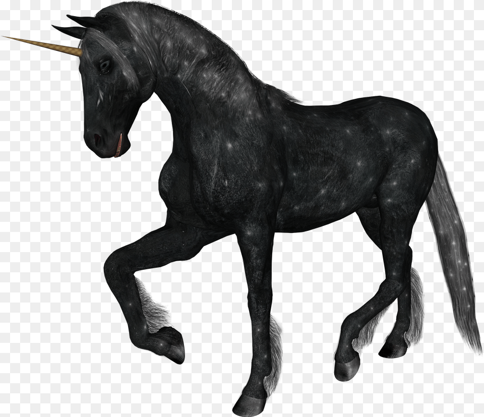 Unicorn Images Download Graphic Black And White Unicorns White Background, Animal, Horse, Mammal, Stallion Png
