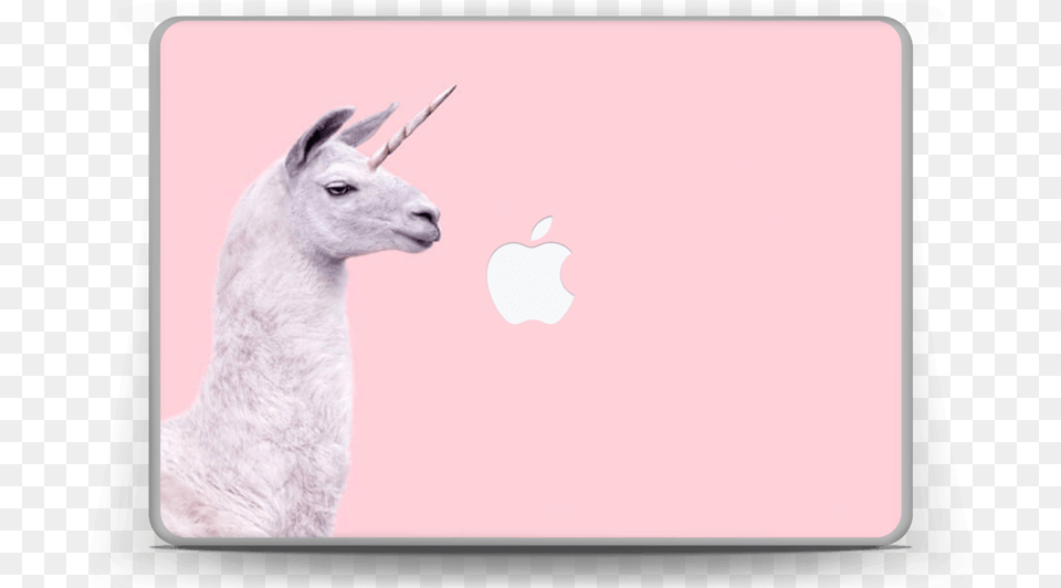 Unicorn Lama Skin Macbook Pro 13 Llama, Animal, Mammal, White Board, Goat Png Image