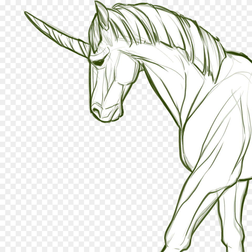 Unicorn Line Art Clipart, Drawing, Plant, Animal, Mammal Png