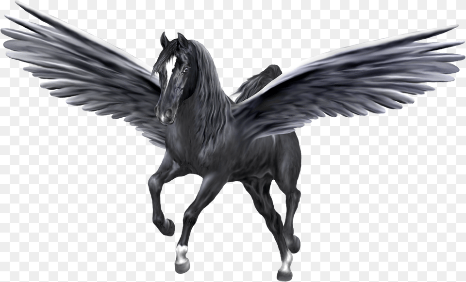 Unicorn Pegasus, Animal, Bird Png Image