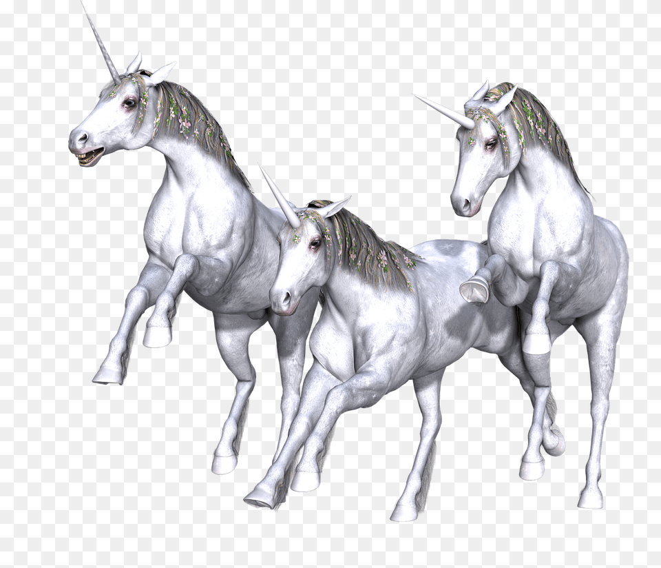 Unicorn Trio Full White, Animal, Herd, Horse, Mammal Png