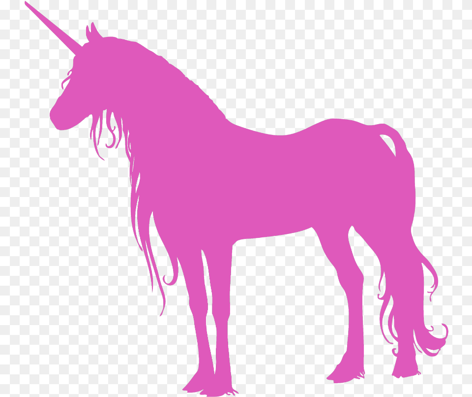 Unicorn Tumblr No Background, Animal, Horse, Mammal, Colt Horse Free Png Download