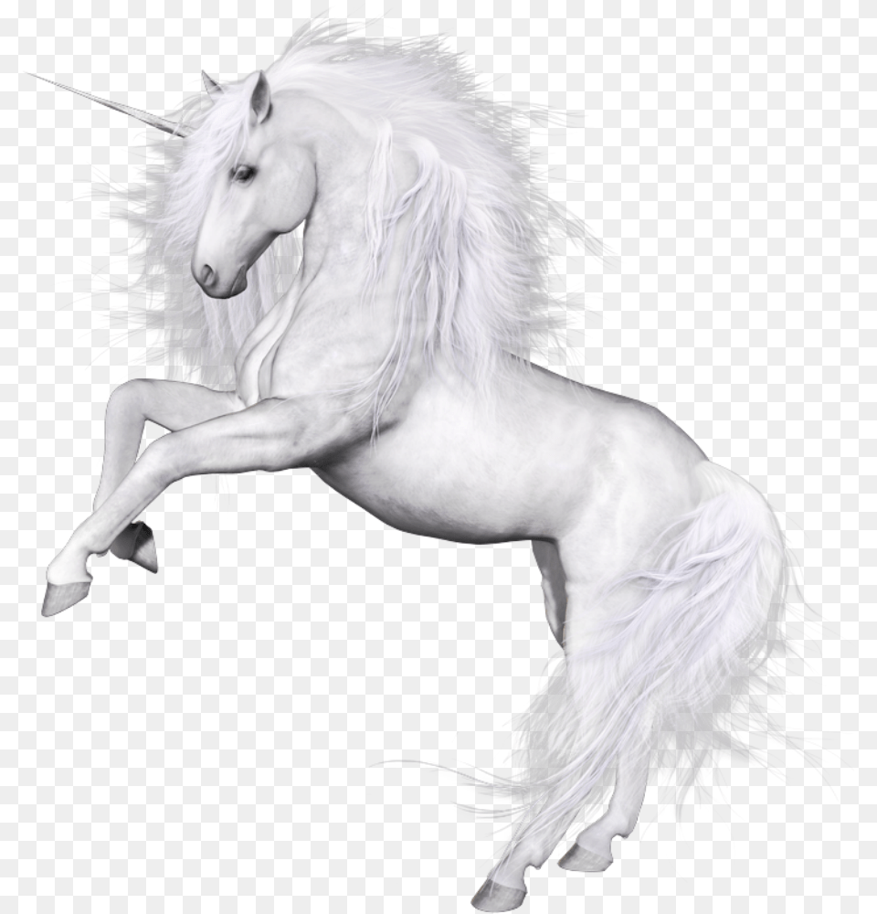 Unicorn Unicorn, Animal, Horse, Mammal, Stallion Png Image