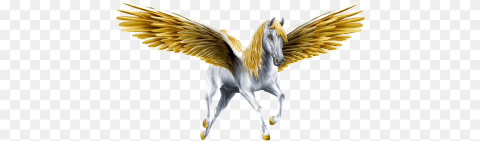 Unicorn With Gold Wings Image Pegasus, Animal, Horse, Mammal, Antelope Free Png Download