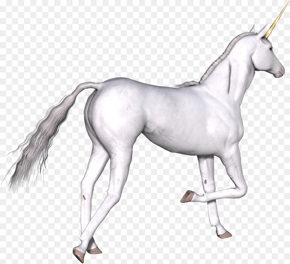 Unicornio Blanco Pata Derecha Arriba Unicorn, Andalusian Horse, Animal, Horse, Mammal Png Image