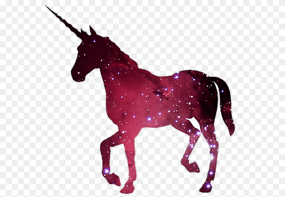 Unicorns Transparent Aesthetic Black Unicorn, Animal, Horse, Mammal, Colt Horse Free Png